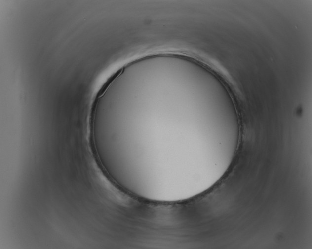 X0000089451512200707061231