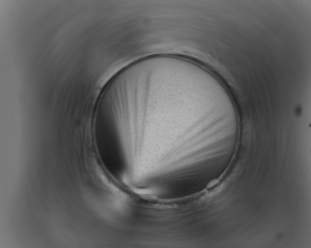 X0000089451513200707061231