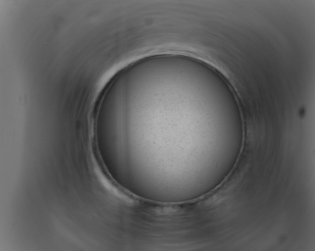 X0000089451515200707061231