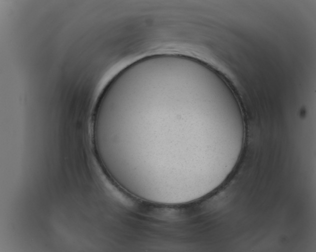 X0000089451517200707061231