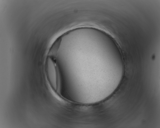 X0000089451519200707061232