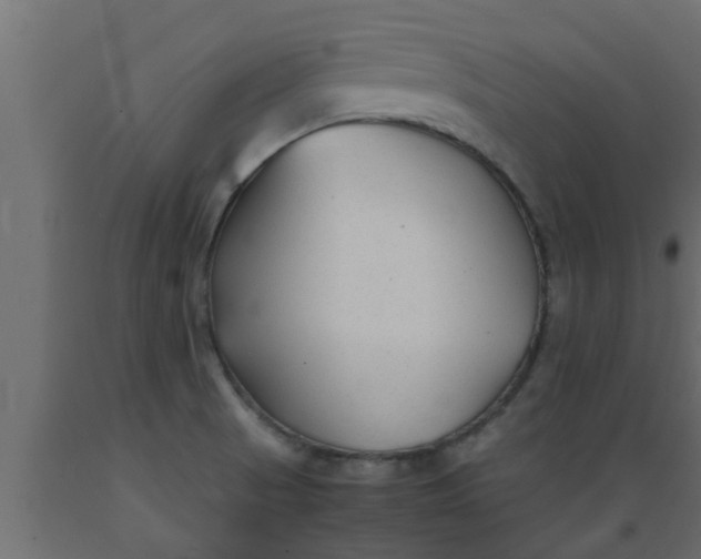 X0000089451521200707061232