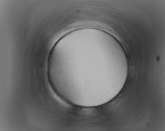 X0000089451523200707061232