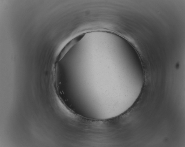 X0000089451524200707061232