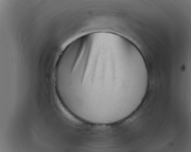 X0000089451526200707061232