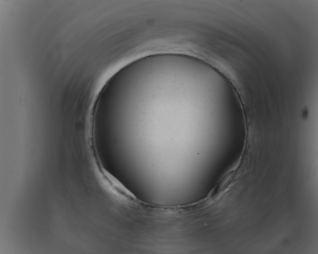 X0000089451528200707061232
