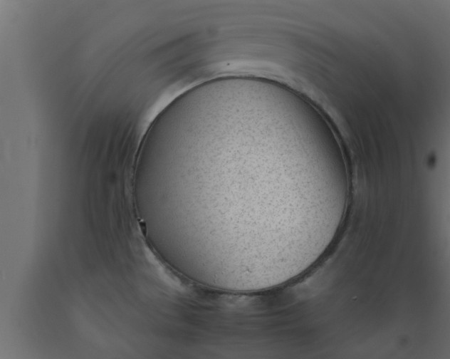 X0000089451529200707061232