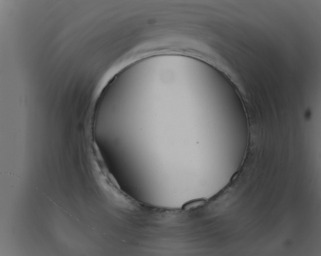 X0000089451530200707061232