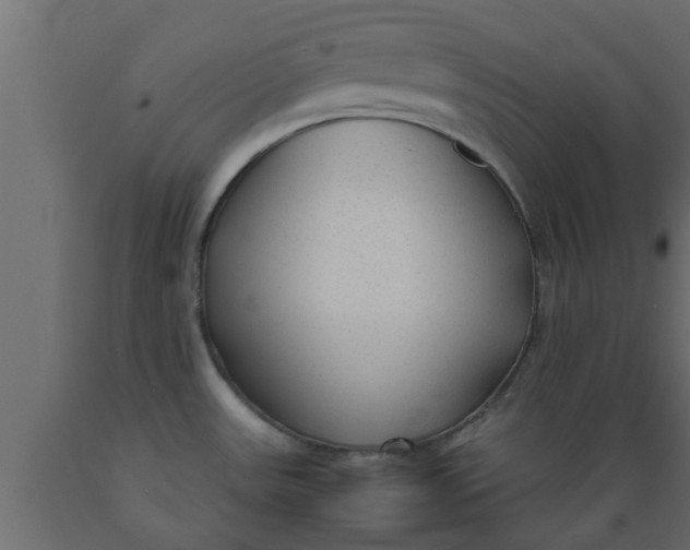 X0000089451531200707061232