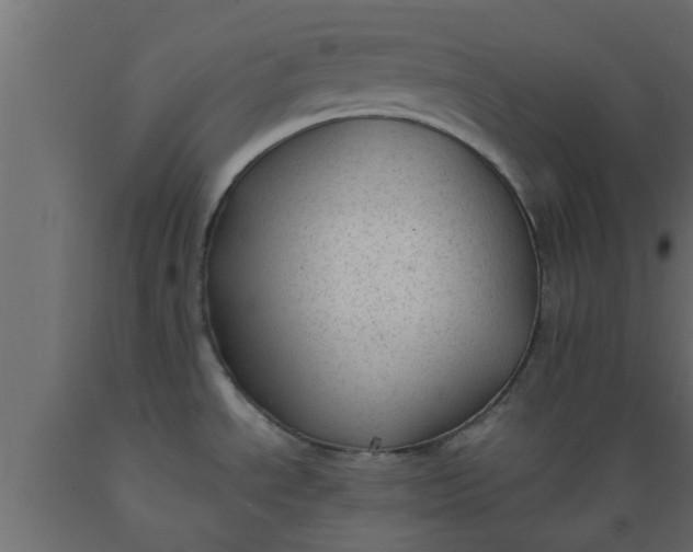 X0000089451534200707061232