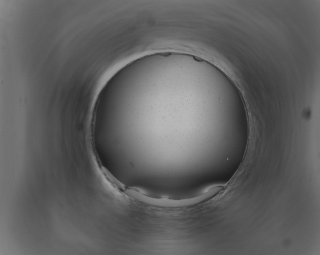 X0000089451536200707061232