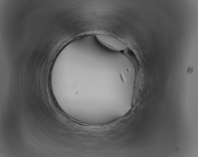 X0000089450001200707131937