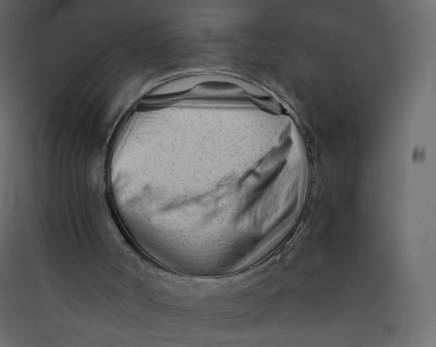 X0000089450002200707131937