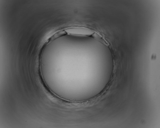 X0000089450005200707131937