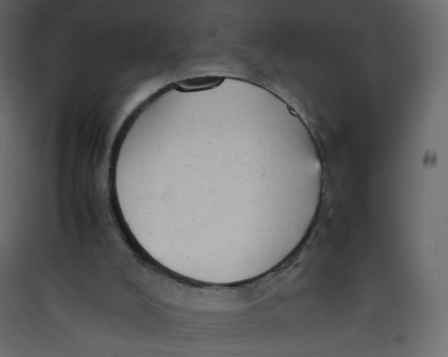 X0000089450008200707131937