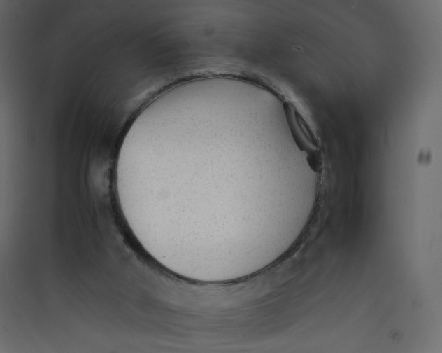 X0000089450010200707131937