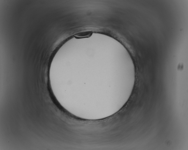 X0000089450011200707131937