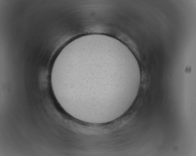 X0000089450012200707131937