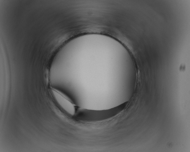 X0000089450013200707131937