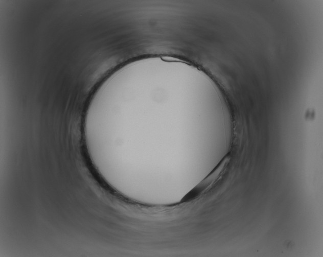 X0000089450015200707131936