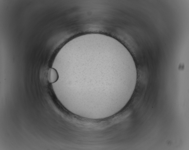 X0000089450016200707131936