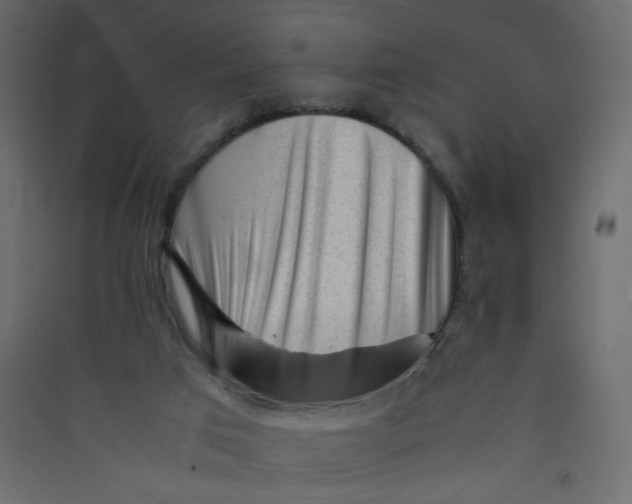 X0000089450017200707131936