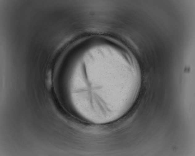 X0000089450020200707131936