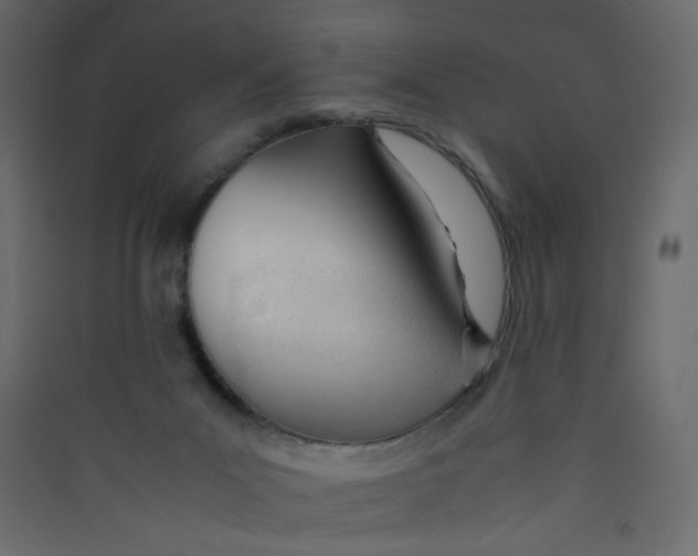 X0000089450023200707131936