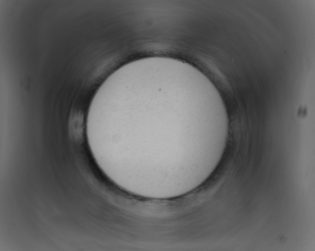 X0000089450024200707131936