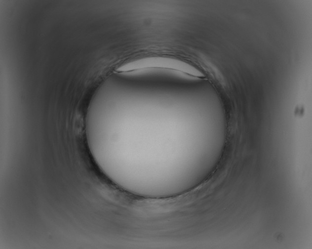 X0000089450025200707131936