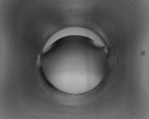 X0000089450027200707131936