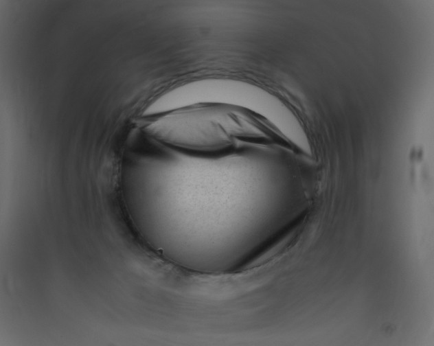 X0000089450029200707131936