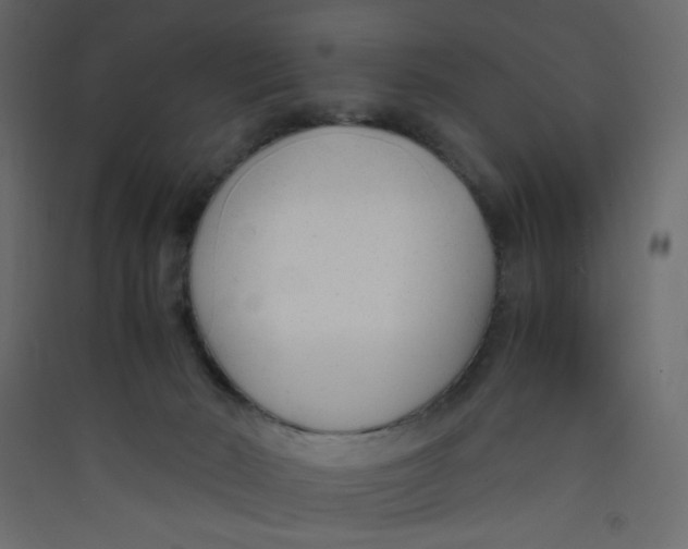 X0000089450030200707131936