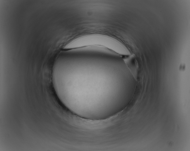 X0000089450031200707131936