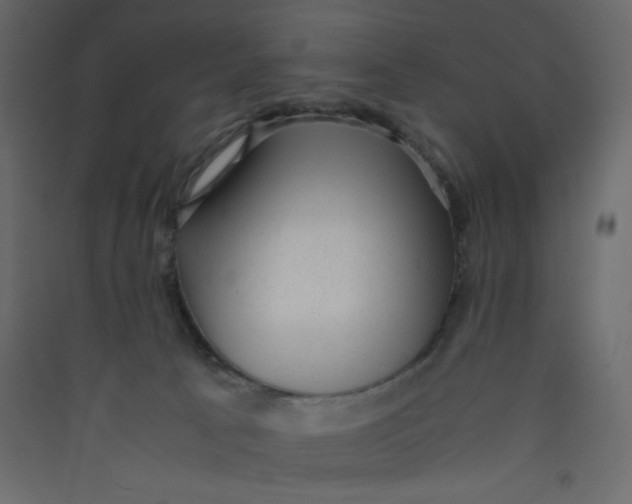 X0000089450033200707131936