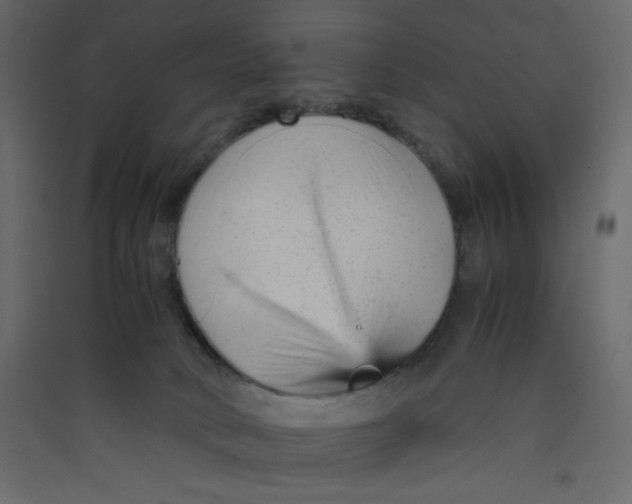 X0000089450034200707131936