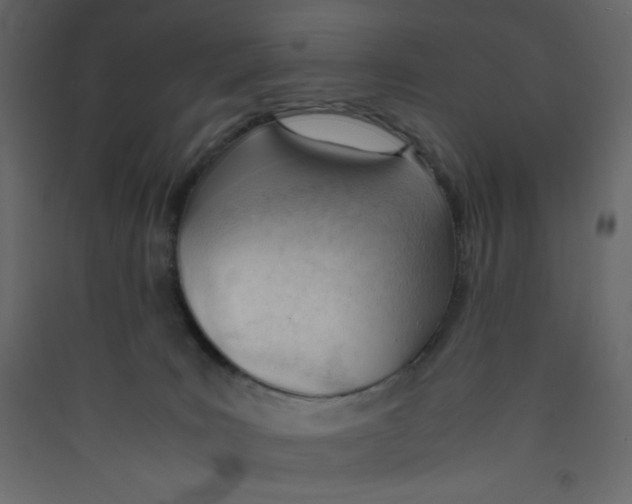 X0000089450035200707131936