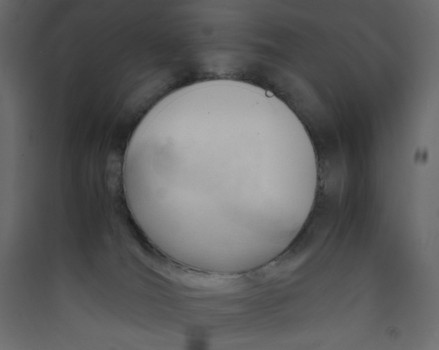 X0000089450036200707131936