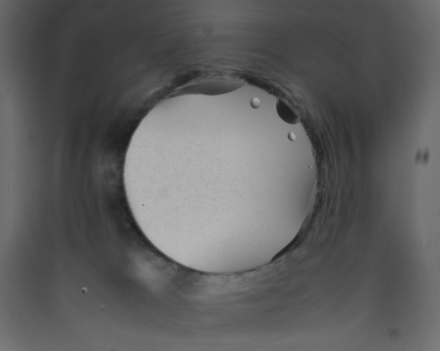 X0000089450037200707131936