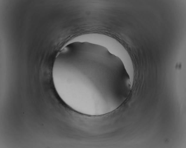 X0000089450039200707131936