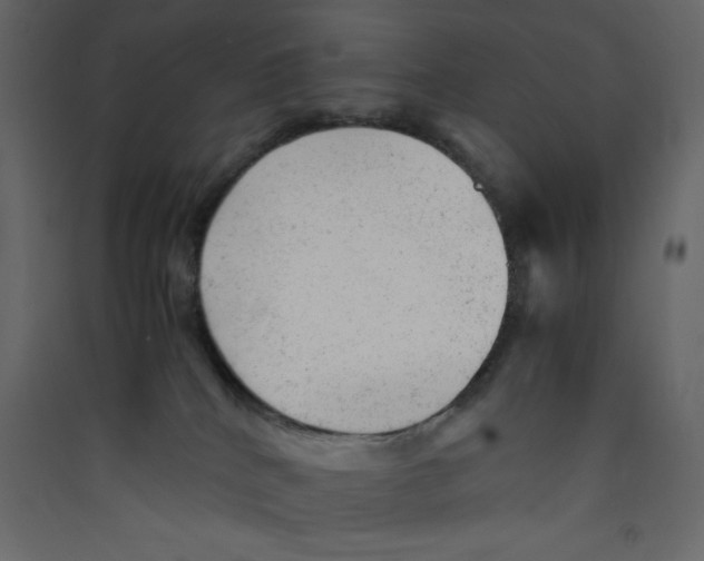 X0000089450040200707131936