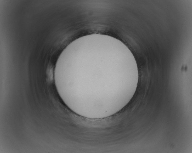 X0000089450042200707131936