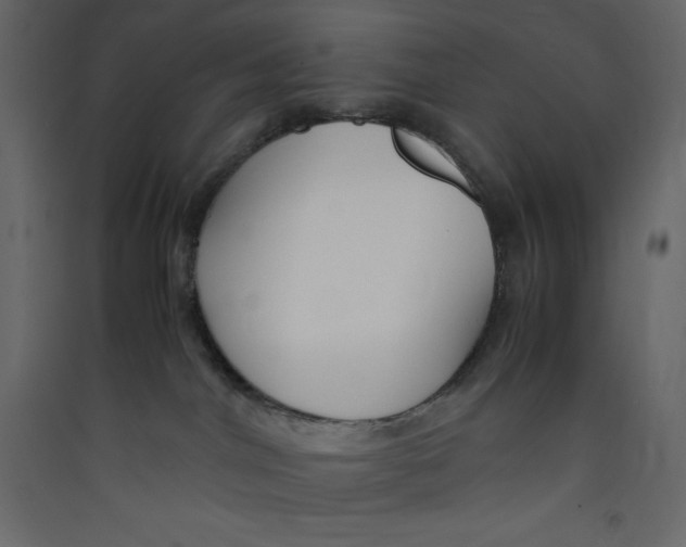 X0000089450044200707131936