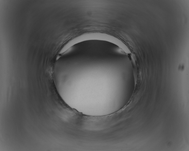 X0000089450045200707131936