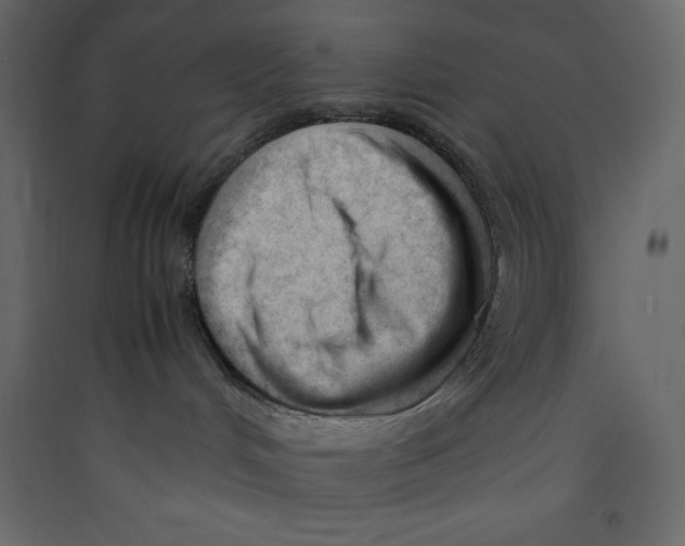 X0000089450048200707131936