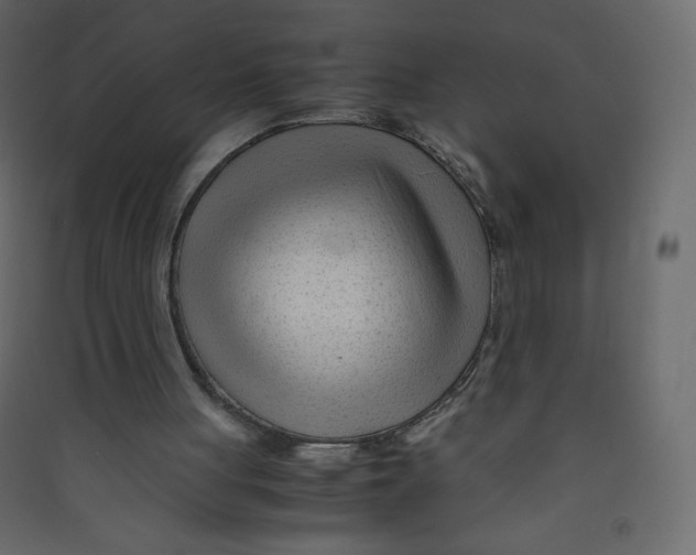 X0000089450051200707131935