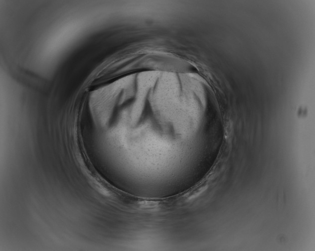 X0000089450052200707131935