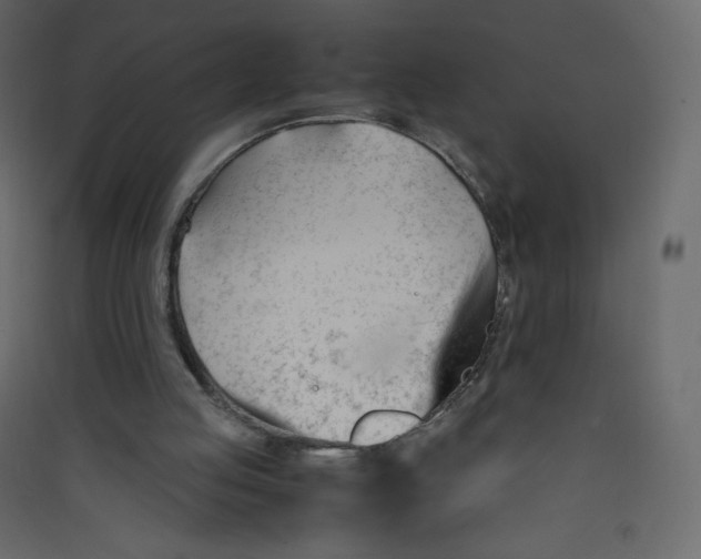 X0000089450053200707131935