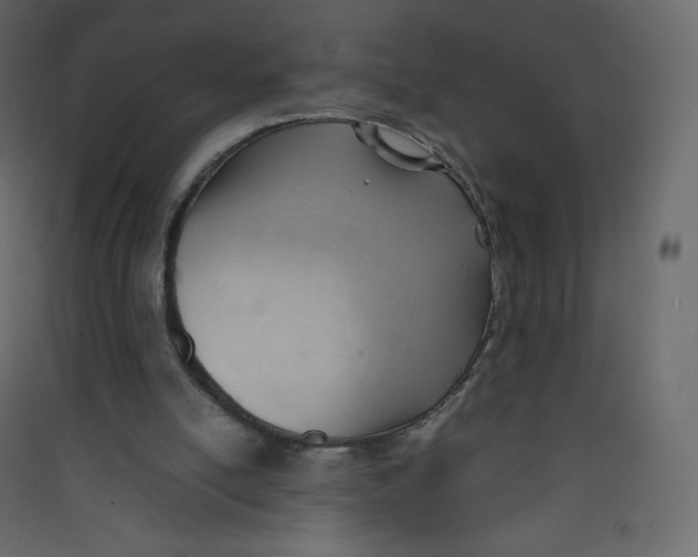 X0000089450054200707131935