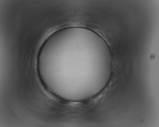 X0000089450055200707131935